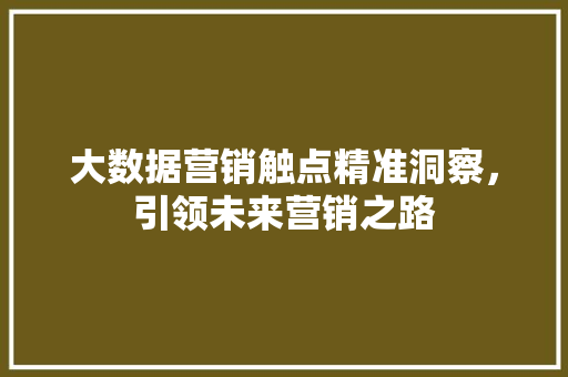 大数据营销触点精准洞察，引领未来营销之路