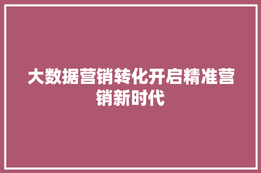 大数据营销转化开启精准营销新时代