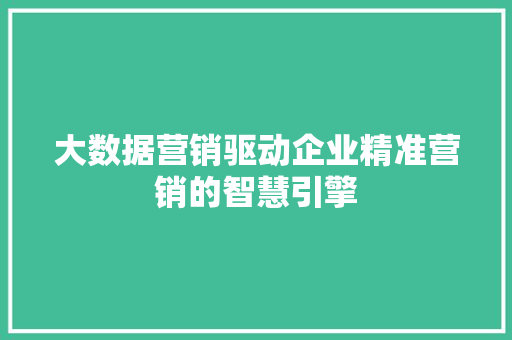 大数据营销驱动企业精准营销的智慧引擎