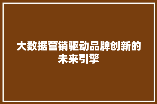 大数据营销驱动品牌创新的未来引擎