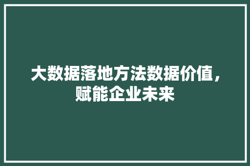 大数据落地方法数据价值，赋能企业未来