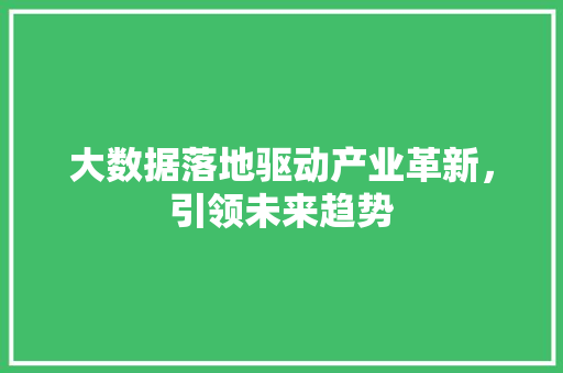 大数据落地驱动产业革新，引领未来趋势