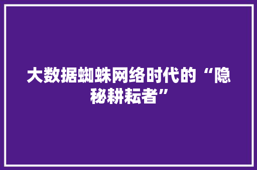 大数据蜘蛛网络时代的“隐秘耕耘者”
