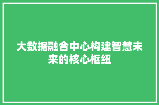 大数据融合中心构建智慧未来的核心枢纽