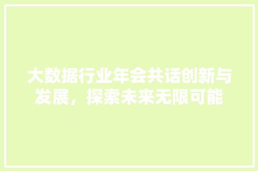 大数据行业年会共话创新与发展，探索未来无限可能