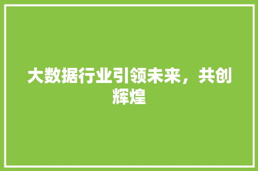 大数据行业引领未来，共创辉煌