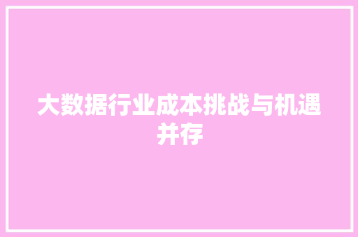 大数据行业成本挑战与机遇并存
