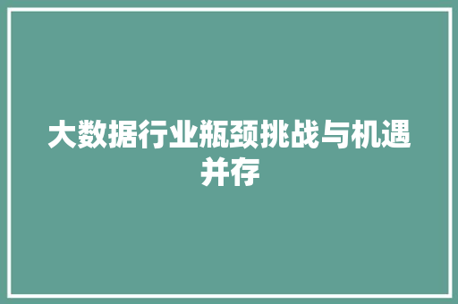 大数据行业瓶颈挑战与机遇并存 大数据行业瓶颈挑战与机遇并存