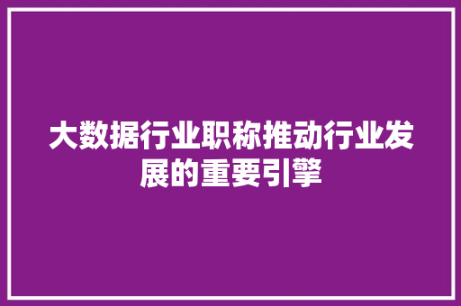 大数据行业职称推动行业发展的重要引擎