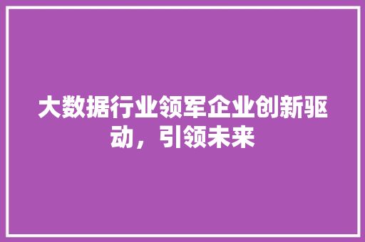 大数据行业领军企业创新驱动，引领未来