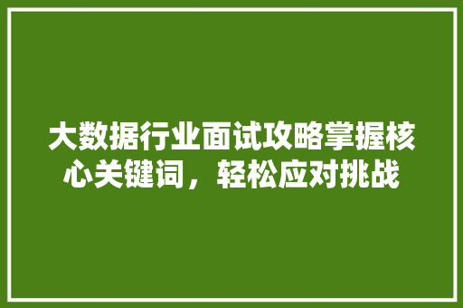 大数据行业面试攻略掌握核心关键词，轻松应对挑战