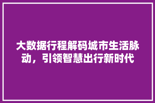 大数据行程解码城市生活脉动，引领智慧出行新时代 编程语言