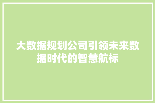大数据规划公司引领未来数据时代的智慧航标