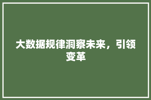 大数据规律洞察未来，引领变革