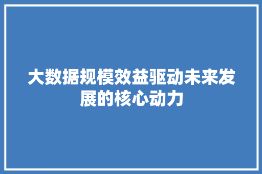 大数据规模效益驱动未来发展的核心动力