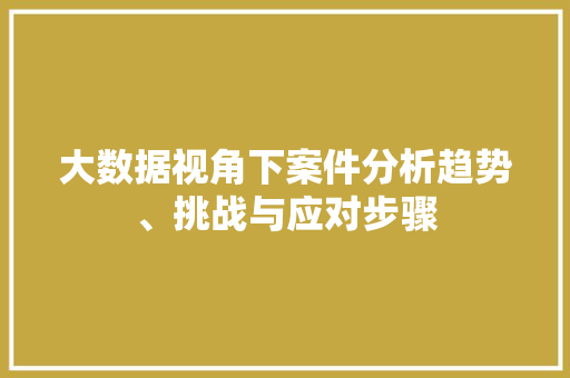 大数据视角下案件分析趋势、挑战与应对步骤