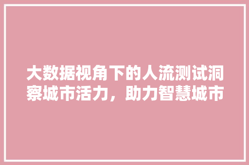 大数据视角下的人流测试洞察城市活力，助力智慧城市建设