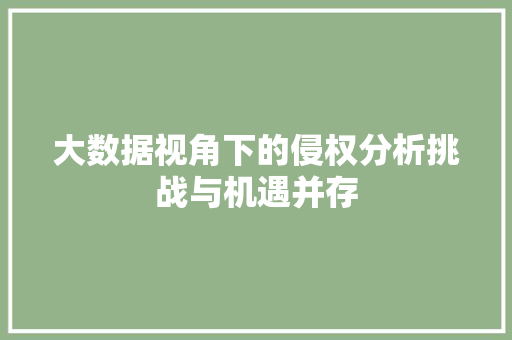 大数据视角下的侵权分析挑战与机遇并存