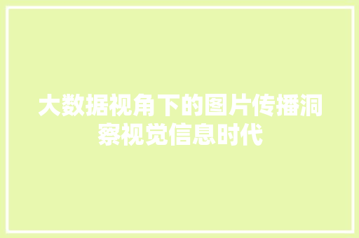 大数据视角下的图片传播洞察视觉信息时代