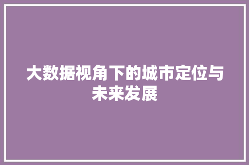 大数据视角下的城市定位与未来发展