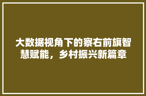 大数据视角下的察右前旗智慧赋能，乡村振兴新篇章