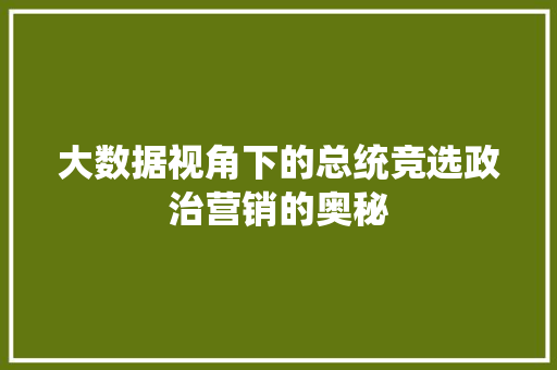 大数据视角下的总统竞选政治营销的奥秘