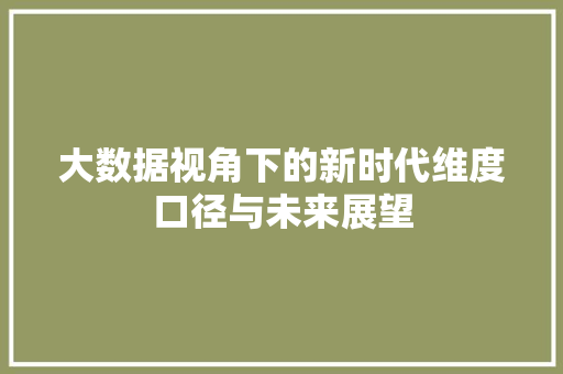 大数据视角下的新时代维度口径与未来展望