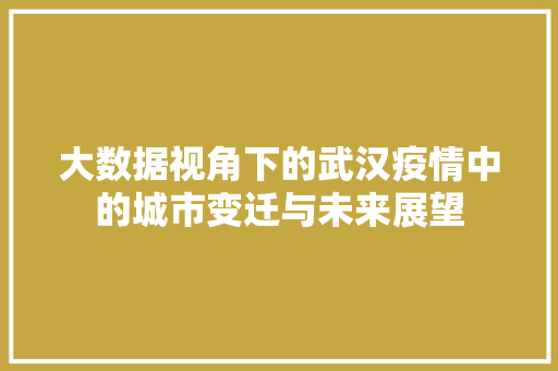 大数据视角下的武汉疫情中的城市变迁与未来展望 大数据视角下的武汉疫情中的城市变迁与未来展望