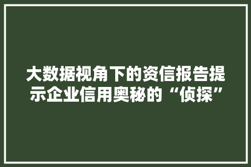 大数据视角下的资信报告提示企业信用奥秘的“侦探”