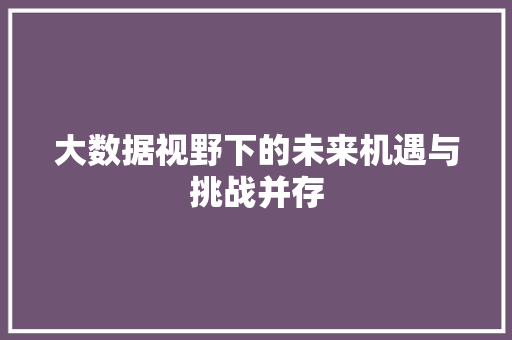 大数据视野下的未来机遇与挑战并存