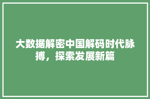 大数据解密中国解码时代脉搏，探索发展新篇