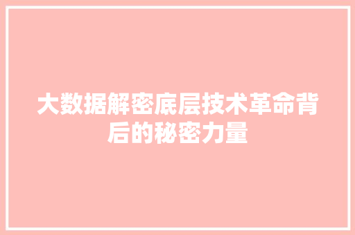 大数据解密底层技术革命背后的秘密力量
