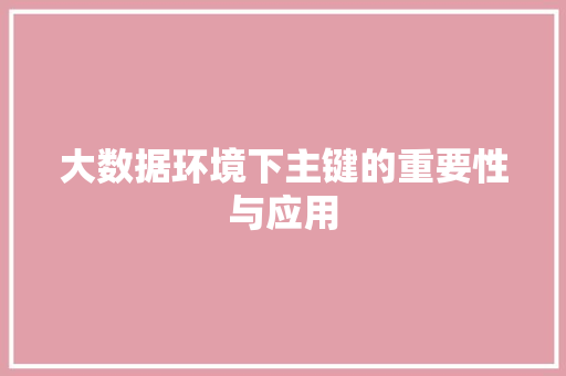 大数据环境下主键的重要性与应用 大数据环境下主键的重要性与应用