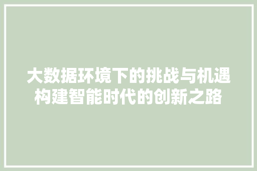 大数据环境下的挑战与机遇构建智能时代的创新之路
