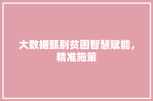 大数据甄别贫困智慧赋能，精准施策