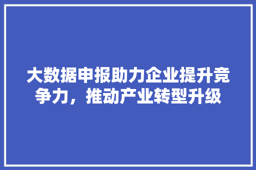大数据申报助力企业提升竞争力，推动产业转型升级
