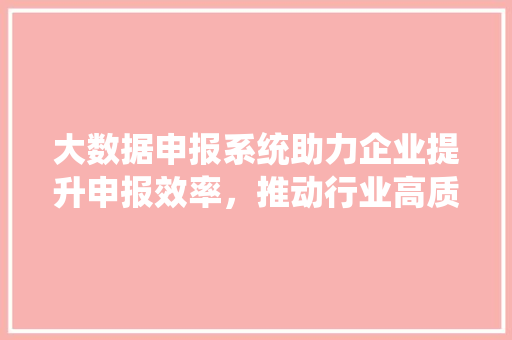 大数据申报系统助力企业提升申报效率，推动行业高质量发展