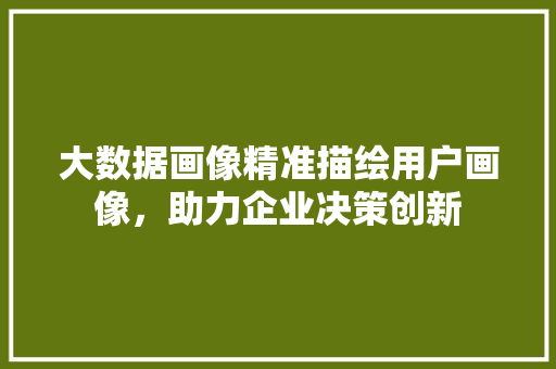 大数据画像精准描绘用户画像,助力企业决策创新 大数据画像精准描绘用户画像,助力企业决策创新