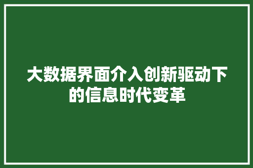 大数据界面介入创新驱动下的信息时代变革