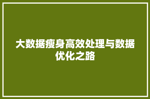 大数据瘦身高效处理与数据优化之路