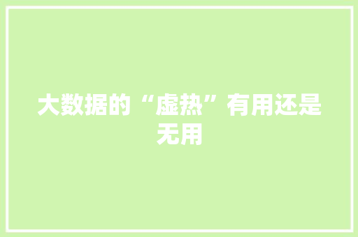 大数据的“虚热”有用还是无用