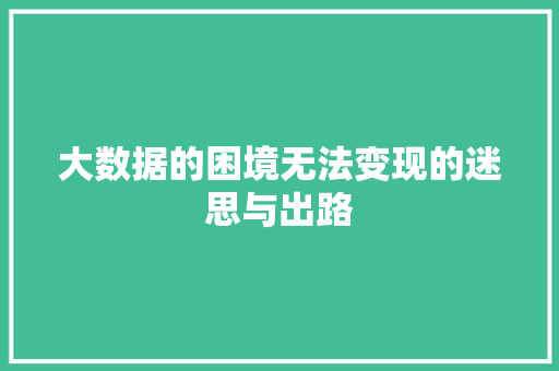 大数据的困境无法变现的迷思与出路