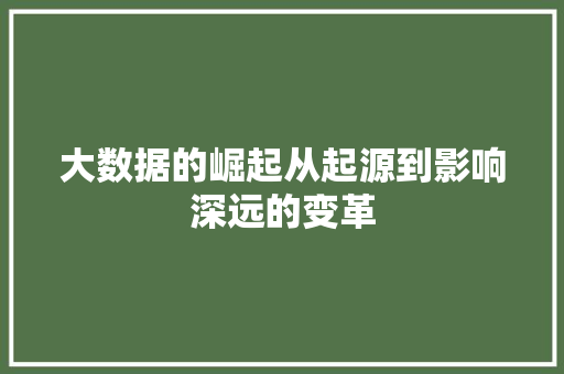 大数据的崛起从起源到影响深远的变革