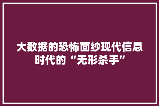 大数据的恐怖面纱现代信息时代的“无形杀手”