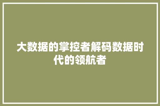 大数据的掌控者解码数据时代的领航者 大数据的掌控者解码数据时代的领航者
