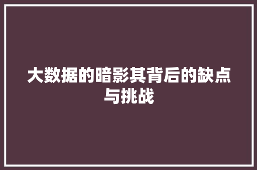 大数据的暗影其背后的缺点与挑战 大数据的暗影其背后的缺点与挑战