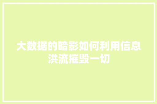 大数据的暗影如何利用信息洪流摧毁一切