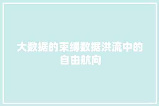 大数据的束缚数据洪流中的自由航向