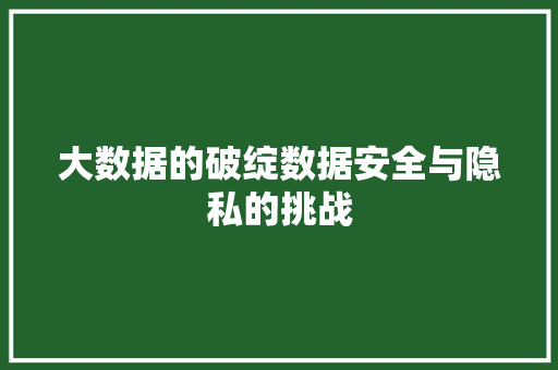 大数据的破绽数据安全与隐私的挑战
