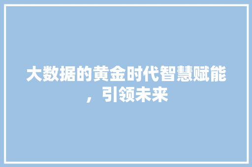 大数据的黄金时代智慧赋能，引领未来
